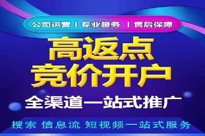 SEM优化技巧：实战案例深度剖析